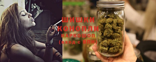 PSILOCYBIN Няндома
