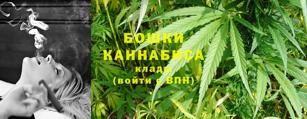 PSILOCYBIN Няндома