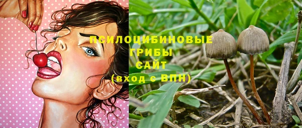 PSILOCYBIN Няндома