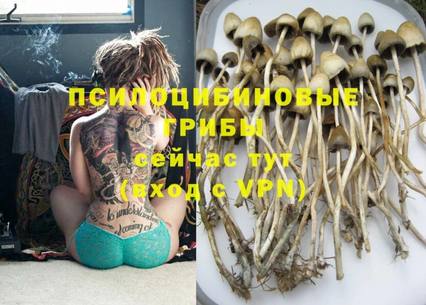 PSILOCYBIN Няндома
