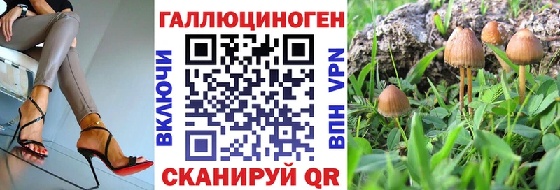 Галлюциногенные грибы MAGIC MUSHROOMS  Лосино-Петровский 